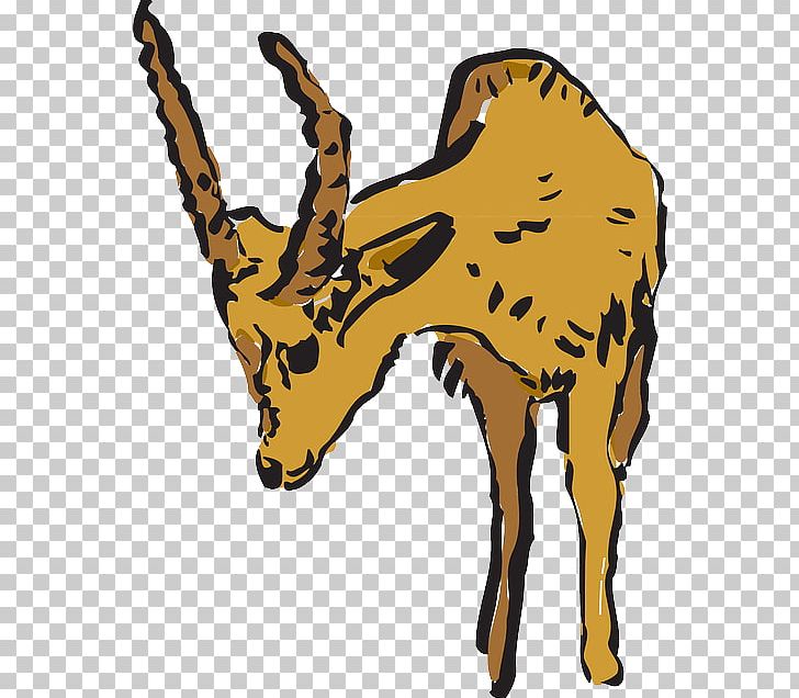 Giraffe Antelope Pronghorn Deer PNG, Clipart, Animal, Animal Figure, Animals, Antelope, Antelope Canyon Free PNG Download