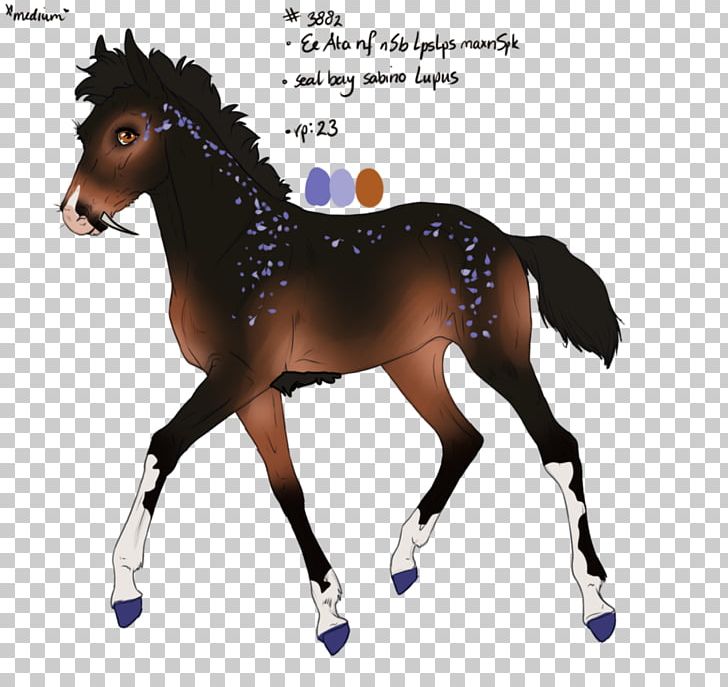 Horse Graphics Illustration Drawing PNG, Clipart, Alamy, Animals, Art, Black And White, Bridle Free PNG Download