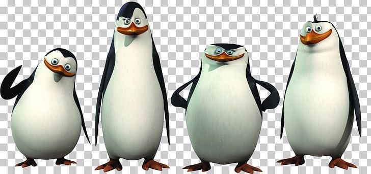 Download Penguins Of Madagascar 4k Cartoon Wallpaper