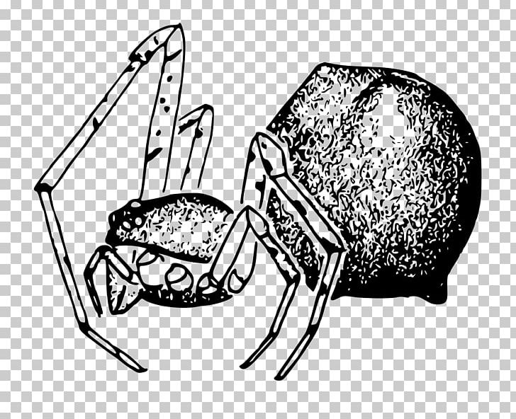Spider Cabello Mammal Stemmops Genus PNG, Clipart, Artwork, Black And White, Cabello, Cartoon, Drawing Free PNG Download