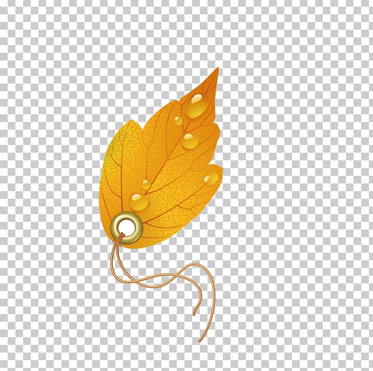 Euclidean Maple Leaf PNG, Clipart, Autumn Leaves, Autumn Storm, Autumn Tree, Encapsulated Postscript, Gold Label Free PNG Download