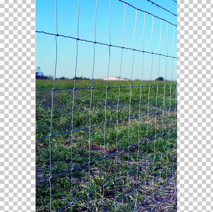 Fence Chain-link Fencing Wire Gauge Barbed Wire PNG, Clipart, Agriculture, American Wire Gauge, Area, Barbed Wire, Chainlink Fencing Free PNG Download