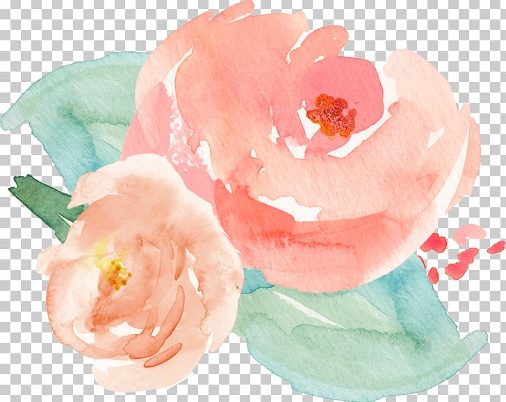 Garden Roses Spoonflower Textile PNG, Clipart, Blanket, Flower, Flowers, Garden, Garden Roses Free PNG Download
