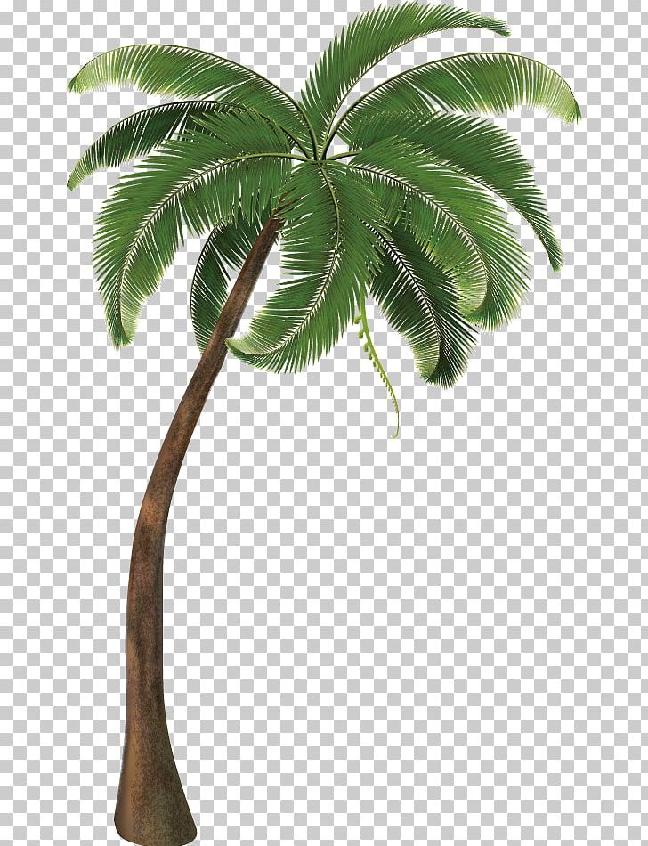 Travel Pack Vacation Icon PNG, Clipart, Arecaceae, Arecales, Borassus Flabellifer, Christmas Decoration, Christmas Tree Free PNG Download