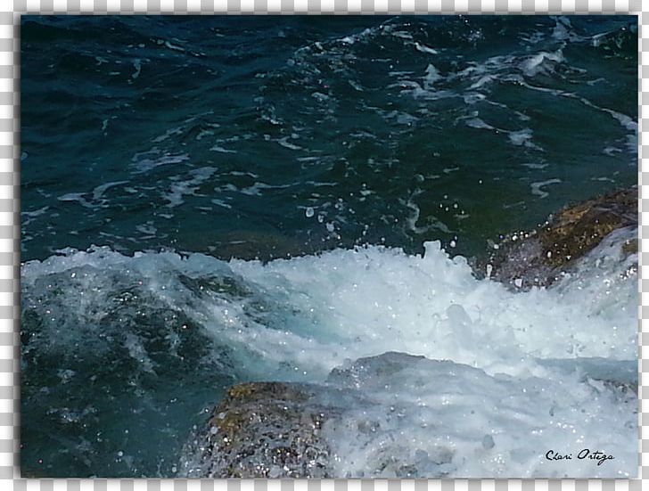 Water Resources Shore Ocean Wind Wave Coast PNG, Clipart, Coast, Coastal And Oceanic Landforms, Inlet, Natural Resource, Nature Free PNG Download