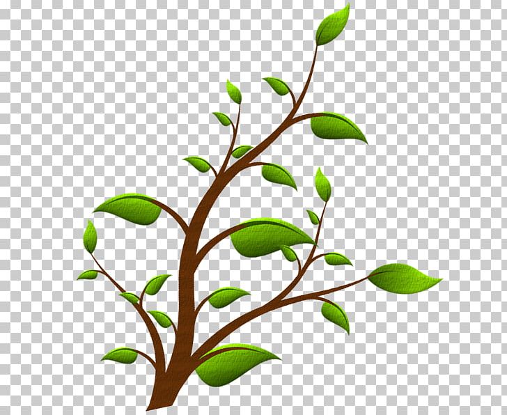 Plant Stem Leaf Flower PNG, Clipart, Branch, Flora, Flower, Flowering Plant, Leaf Free PNG Download