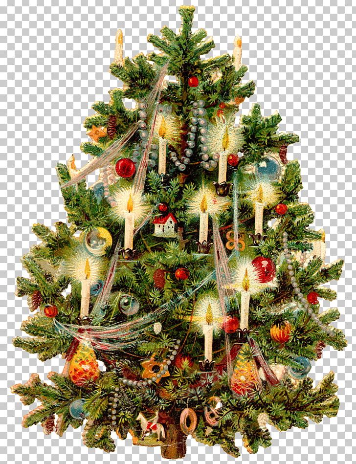 Victorian Era Christmas Tree Christmas Card Christmas Decoration PNG, Clipart, Candle, Christmas, Christmas Card, Christmas Decoration, Christmas Lights Free PNG Download