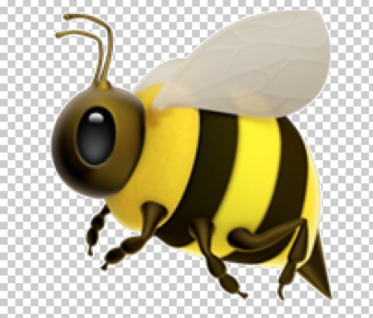 Western Honey Bee Insect Bumblebee Hornet PNG, Clipart, Animal, Apocephalus Borealis, Apple, Arthropod, Bee Free PNG Download