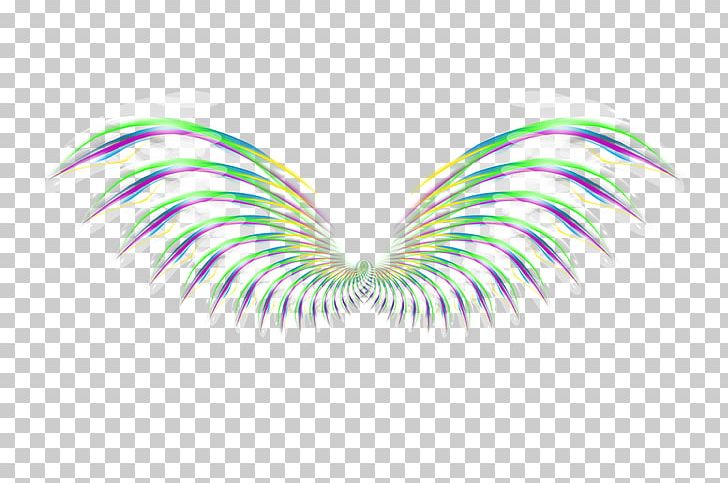 Wing Feather Icon PNG, Clipart, Abstract, Angel, Animals, Color, Feather Pen Free PNG Download