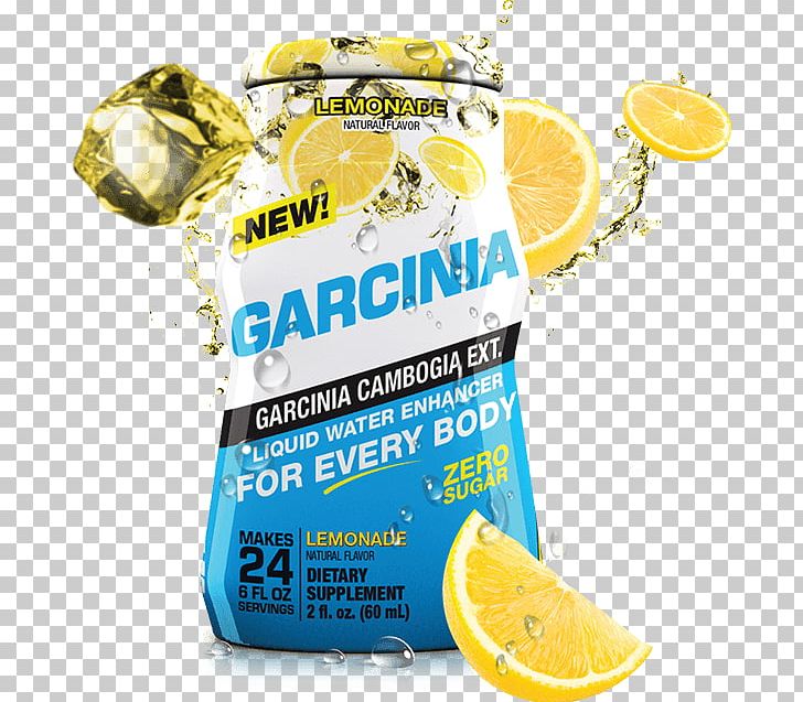 Dietary Supplement Levocarnitine Garcinia Cambogia Liquid Bodybuilding Supplement PNG, Clipart, Bodybuilding Supplement, Branchedchain Amino Acid, Brand, Citrus, Creatine Free PNG Download