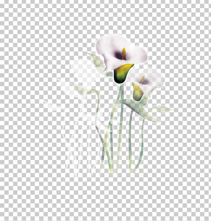 Floral Design Cut Flowers Arum-lily Watercolor Painting PNG, Clipart, Arum, Computer, Computer Wallpaper, Decorative, Flower Free PNG Download