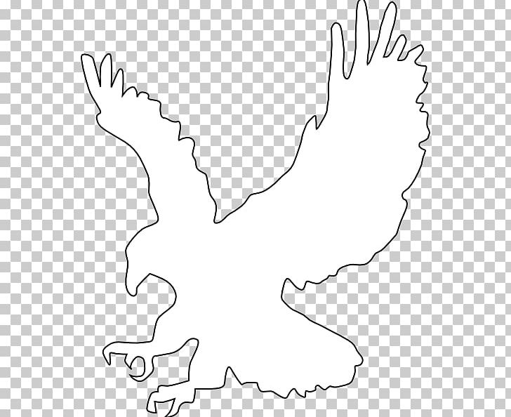 Free Content PNG, Clipart, Angle, Area, Art, Beak, Black Free PNG Download