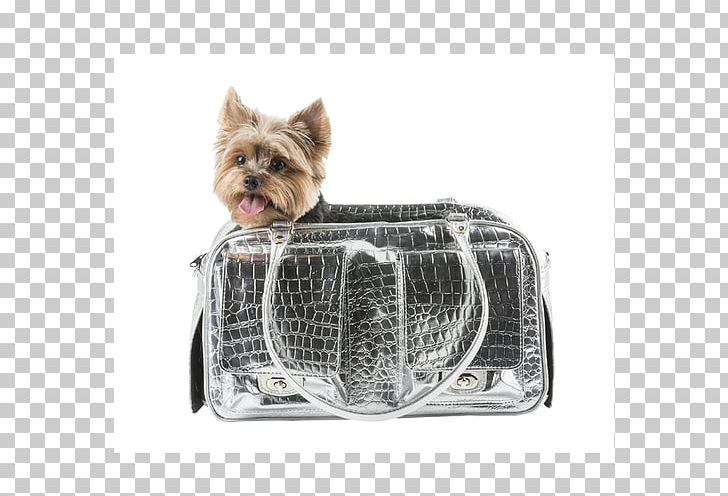 Yorkshire Terrier Cairn Terrier Australian Silky Terrier Pet Carrier Puppy PNG, Clipart, Australian Silky Terrier, Breed, Cairn Terrier, Carnivoran, Cat Free PNG Download