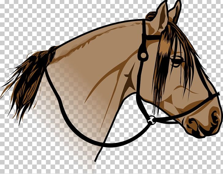Crioulo Criollo Mustang Bridle PNG, Clipart, Bridle, Criollo, Cuia, Drawing, Eyewear Free PNG Download