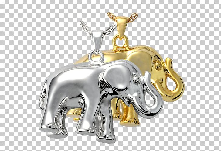 Urn Charms & Pendants Cremation Jewellery Elephantidae PNG, Clipart, African, Assieraad, Body Jewelry, Bracelet, Brass Free PNG Download