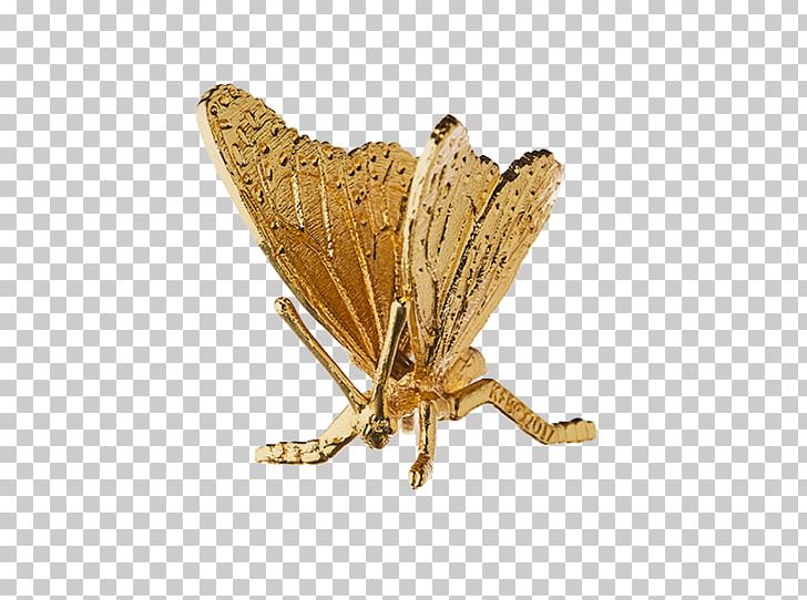 Butterfly Canberra Shepparton Gold Plating PNG, Clipart, Arthropod, Australian Capital Territory, Bombycidae, Butterflies And Moths, Butterfly Free PNG Download