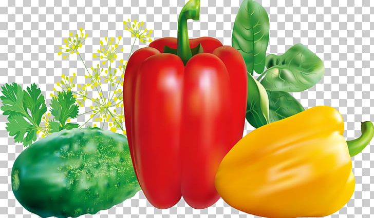 Chili Pepper Red Bell Pepper Vegetable PNG, Clipart, Bell Pepper, Cayenne Pepper, Celery, Food, Fruit Free PNG Download