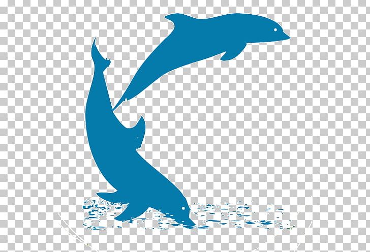 Common Bottlenose Dolphin Dolphin House Beach Resort Nagaon Beach Tucuxi Alibag PNG, Clipart, Alibag, Beach, Beach Resort, Beak, Black And White Free PNG Download