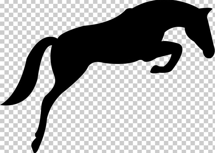 Dutch Warmblood Show Jumping Equestrian PNG, Clipart, Black, Black And White, Collection, Colt, Dog Like Mammal Free PNG Download
