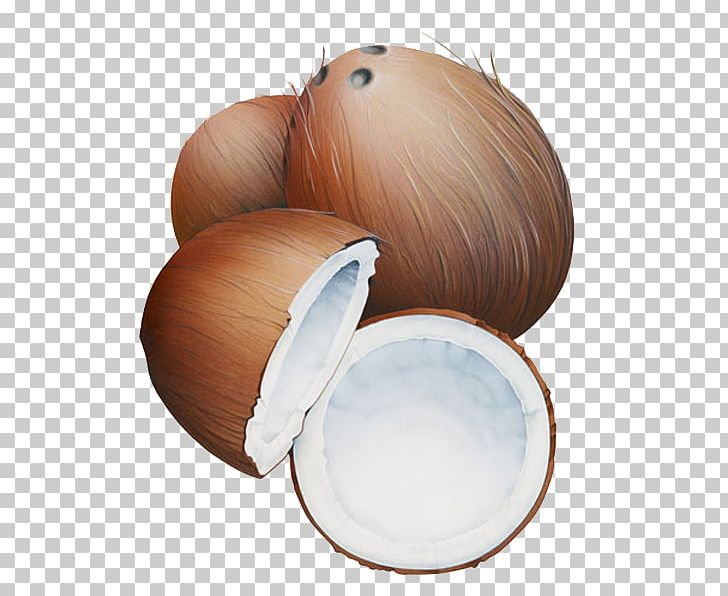 Coconut Milk Cartoon PNG, Clipart, Arecaceae, Auglis, Cartoon, Coconut, Coconut Leaf Free PNG Download