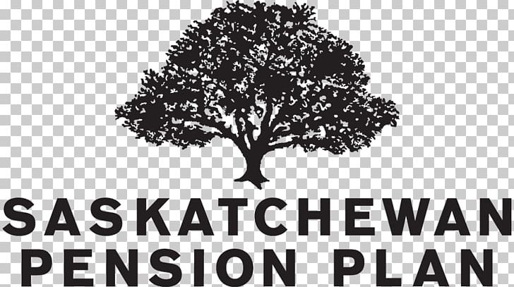 Saskatchewan Pension Plan Registered Retirement Savings Plan Defined Contribution Plan PNG, Clipart, Black And White, Branch, Defined Benefit Pension Plan, Defined Contribution Plan, Income Free PNG Download