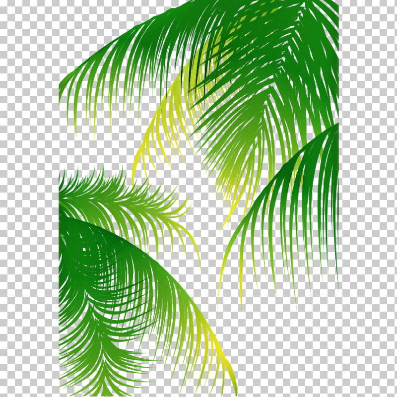 Palm Tree PNG, Clipart, Arecales, Banana Leaf, Elaeis, Fern, Flower Free PNG Download