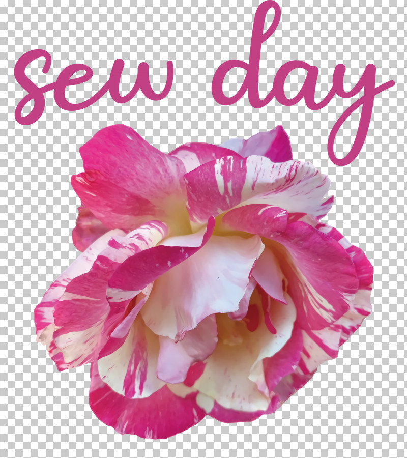 Sew Day PNG, Clipart, Biology, Cut Flowers, Floral Design, Flower, Herbaceous Plant Free PNG Download