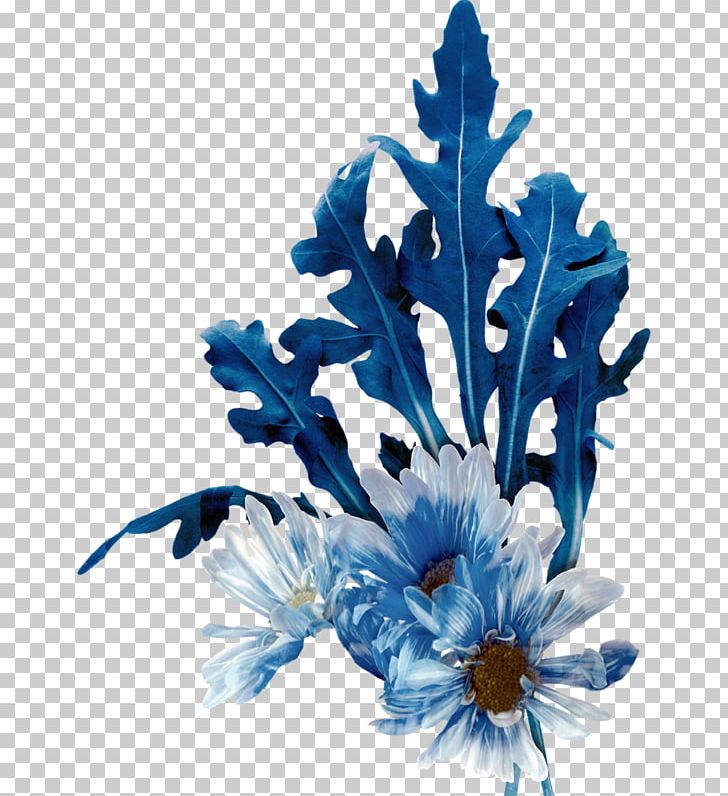 Arugula Cut Flowers Blue Floral Design PNG, Clipart, Artificial Flower, Arugula, Blue, Botany, Cobalt Blue Free PNG Download