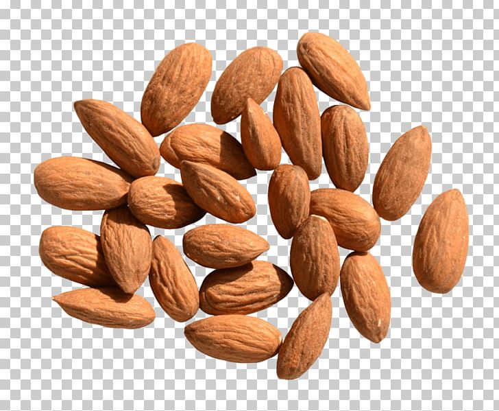 Nut Portable Network Graphics Almond Food PNG, Clipart, Almond, Almond Oil, Cashew, Commodity, Download Free PNG Download