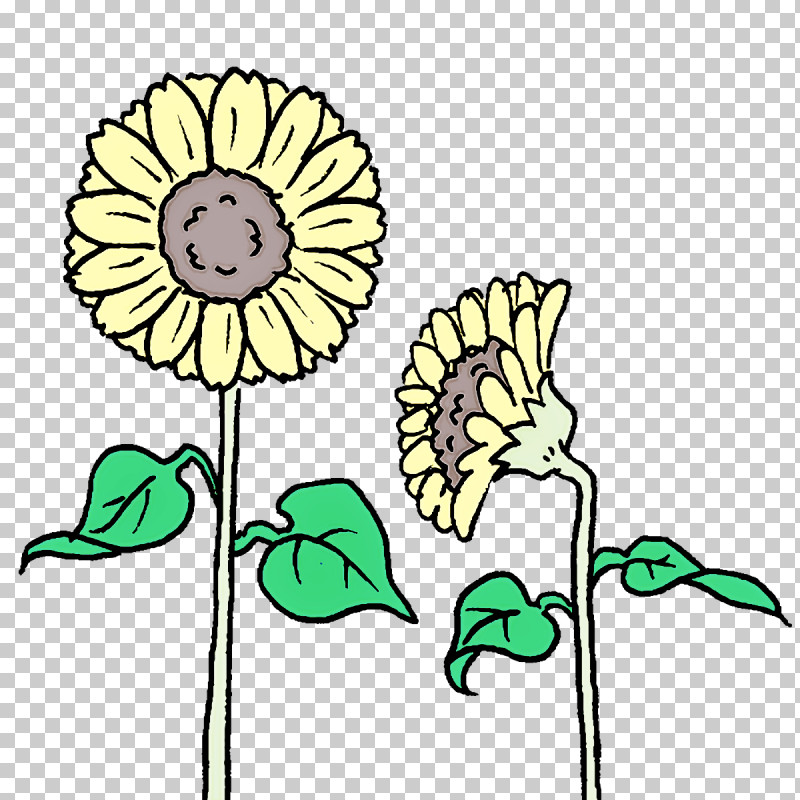 Floral Design PNG, Clipart, Common Sunflower, Cut Flowers, Floral Design, Flower, Nectar Free PNG Download