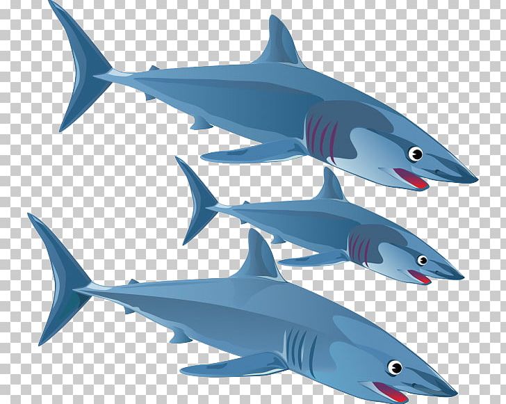 Blue Shark Great White Shark PNG, Clipart, 3d Three Dimensional Flower, Animal, Animals, Blue Shark, Bull Shark Free PNG Download