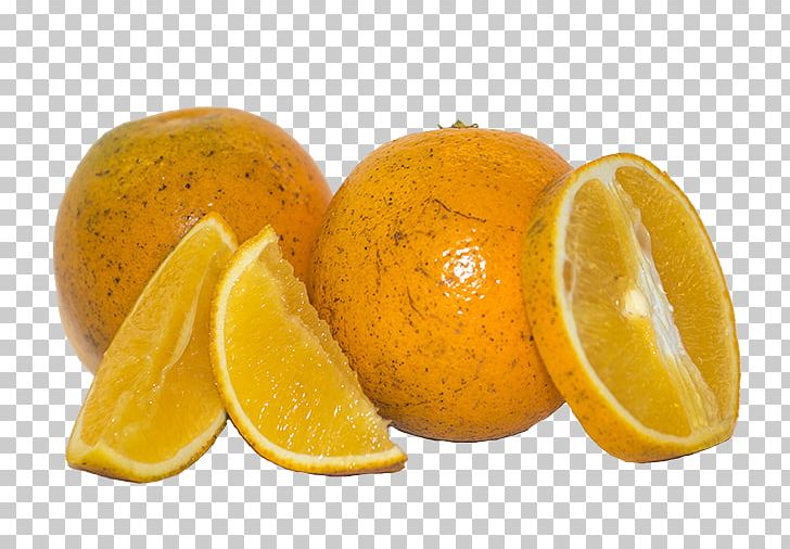 Citron Roast Goose Orange Juice PNG, Clipart, Animals, Bitter Orange, Citric Acid, Citron, Citrus Free PNG Download