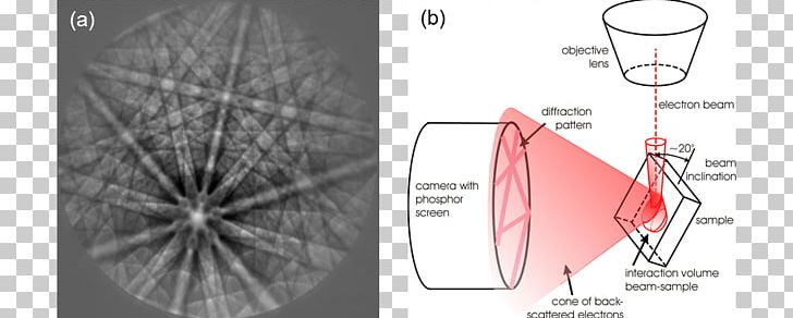 Electron Backscatter Diffraction Kikuchi Line Bragg's Law Crystallography Scanning Electron Microscope PNG, Clipart, Angle, Backscatter, Brand, Crystal, Crystallography Free PNG Download