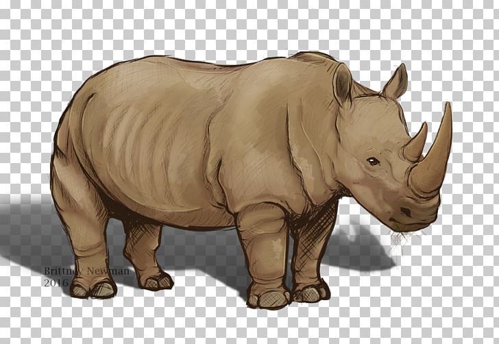 Rhinoceros Terrestrial Animal Wildlife Snout PNG, Clipart, Animal, Animal Figure, Fauna, Horn, Mammal Free PNG Download