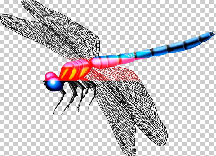 Dragonfly Mosquito Insect Butterfly PNG, Clipart, Angel Wing, Angel Wings, Arthropod, Beautiful, Beauty Free PNG Download