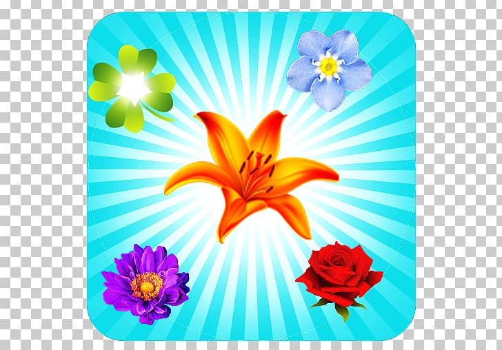 Floral Design Cut Flowers Desktop PNG, Clipart, Apk, Art, Blossom, Computer, Computer Wallpaper Free PNG Download
