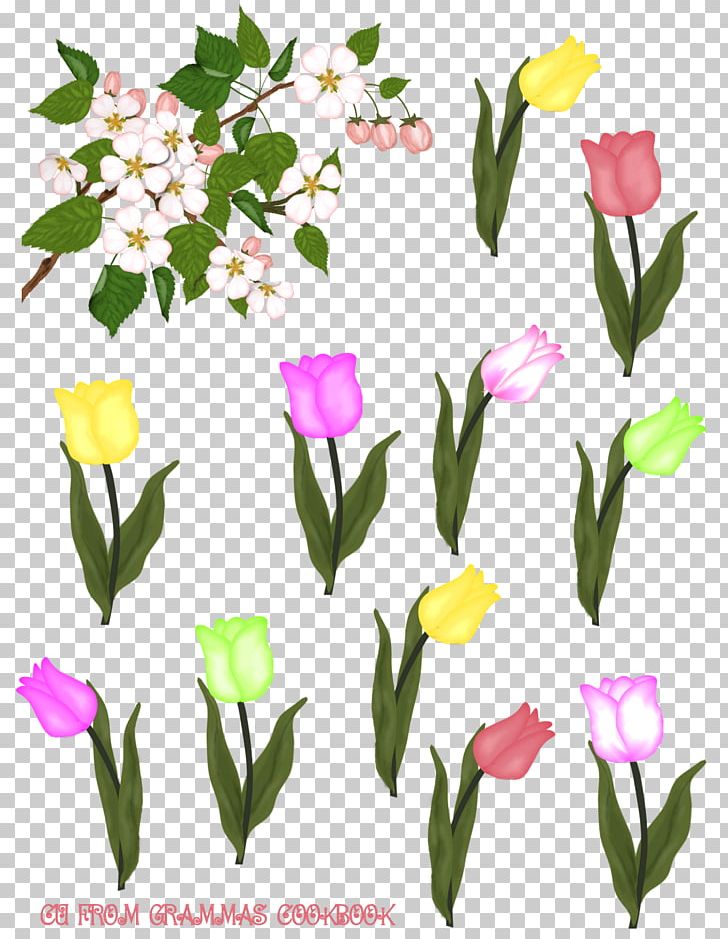 Flower PNG, Clipart, Cartoon, Computer Software, Cut Flowers, Floral Design, Floristry Free PNG Download