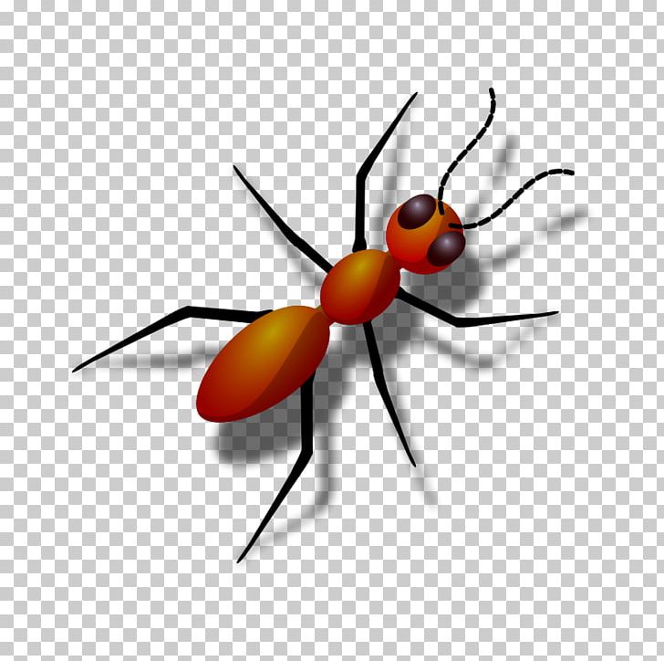 Queen Ant Free Content PNG, Clipart, Ant, Arthropod, Black Garden Ant, Download, Drawing Free PNG Download
