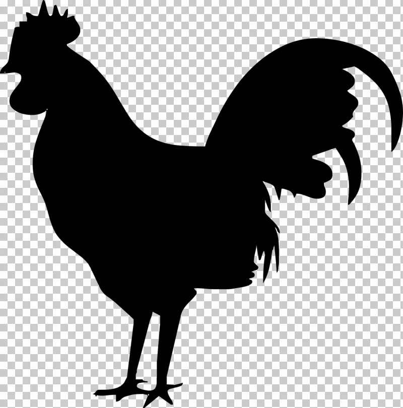 Chicken Rooster Bird Black Beak PNG, Clipart, Beak, Bird, Black, Blackandwhite, Chicken Free PNG Download