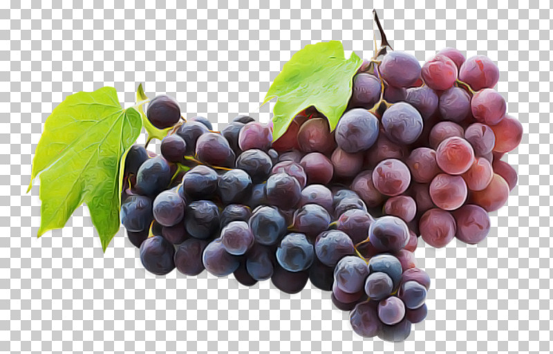Grape Fruit Natural Foods Seedless Fruit Grapevine Family PNG, Clipart, Berry, Currant, Damson, European Plum, Flower Free PNG Download