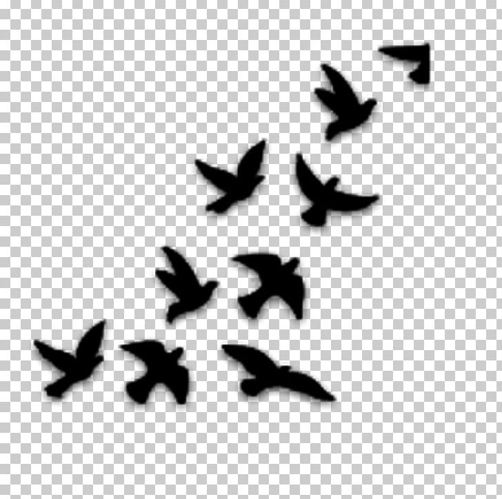 Bird Drawing YouTube Stencil PNG, Clipart, Animals, Beak, Bird, Black And White, Digital Art Free PNG Download