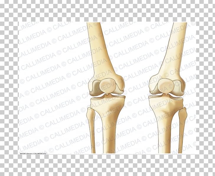 Knee Shoe Beige PNG, Clipart, Art, Beige, Joint, Knee, Sandal Free PNG Download