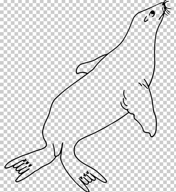 Sea Lion Coloring Book Line Art PNG, Clipart, Animal Figure, Bird, Black, Carnivoran, Fauna Free PNG Download