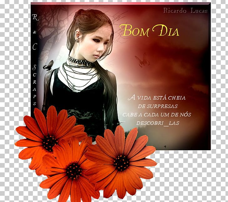 Transvaal Daisy Orkut Album Cover Happiness Font PNG, Clipart, Album, Album Cover, Bom Dia, Community, Daisy Family Free PNG Download