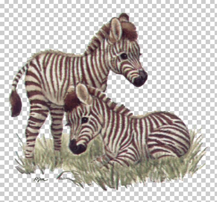 Quagga Giraffe Baby Tigers Baby Jungle Animals PNG, Clipart, Animal, Animal Figure, Animal Illustrations, Baby Jungle Animals, Baby Tigers Free PNG Download