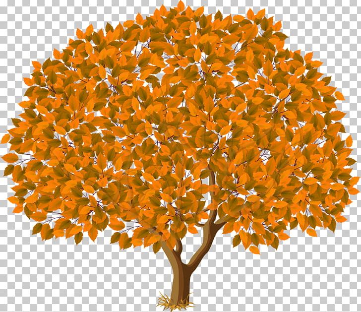 Tree Autumn PNG, Clipart, Autumn, Autumn Leaves, Branch, Christmas Tree, Clip Art Free PNG Download