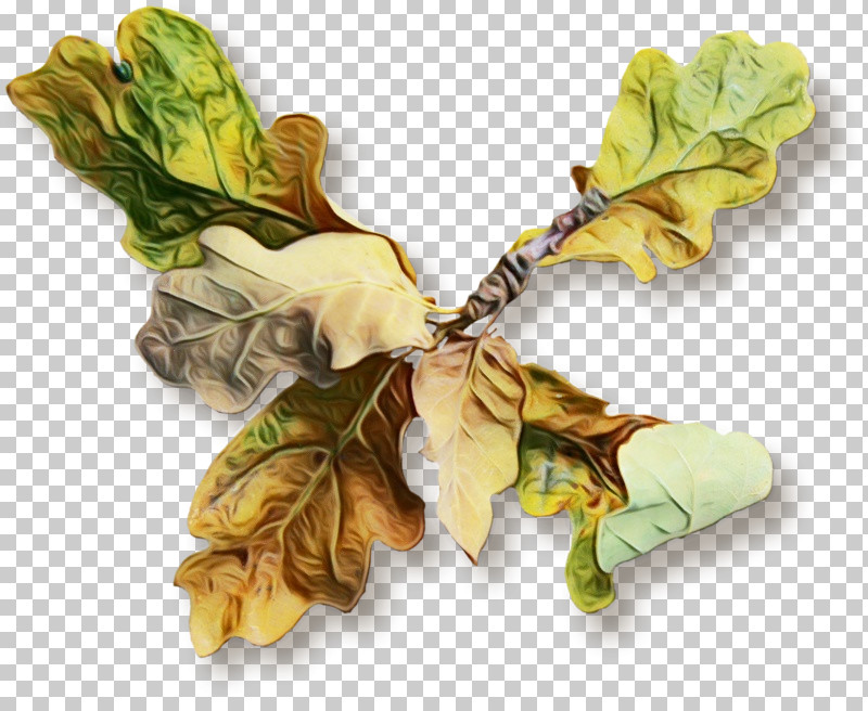 Leaf Yellow Plant Tree Pendant PNG, Clipart, Brooch, Flower, Jewellery, Leaf, Necklace Free PNG Download