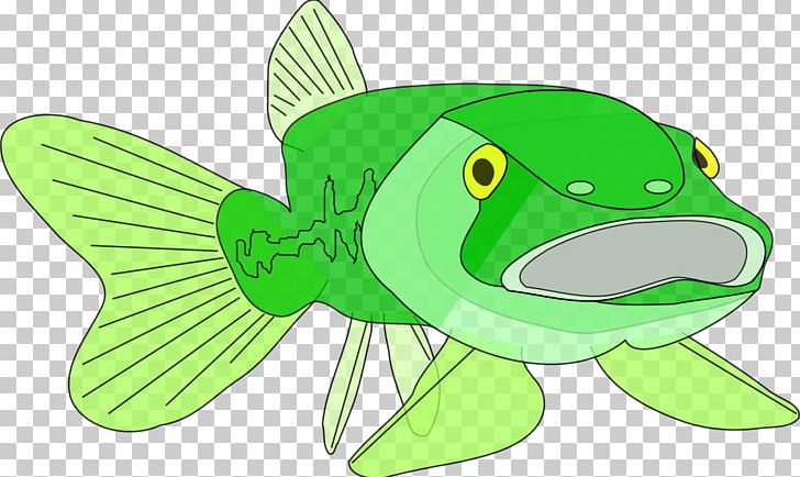 Largemouth Bass Fish PNG, Clipart, Amphibian, Animal, Animation, Bass, Bass Fishing Free PNG Download