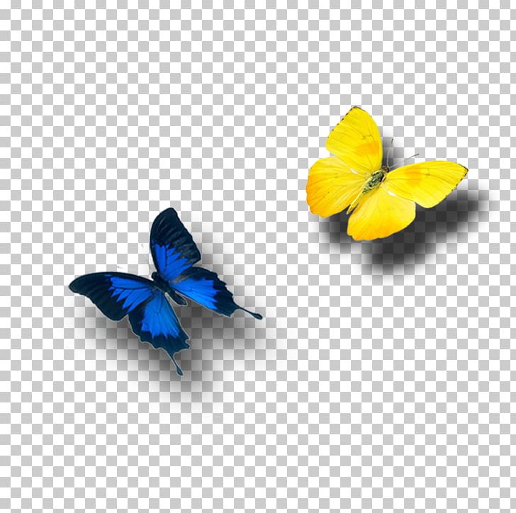 Monarch Butterfly PNG, Clipart, Birds, Butterflies, Butterfly Group, Child, Clips Free PNG Download