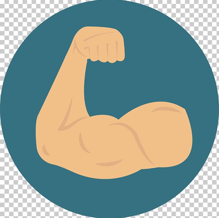 Muscle Icon PNG, Clipart, Anatomy, Arm Vector, Camera Icon, Computer Program, Ear Free PNG Download